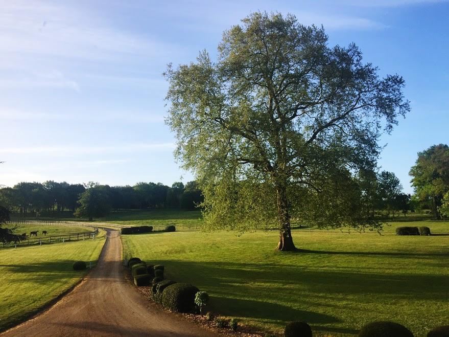 Hotel Haras De La Potardiere Crosmières Eksteriør bilde