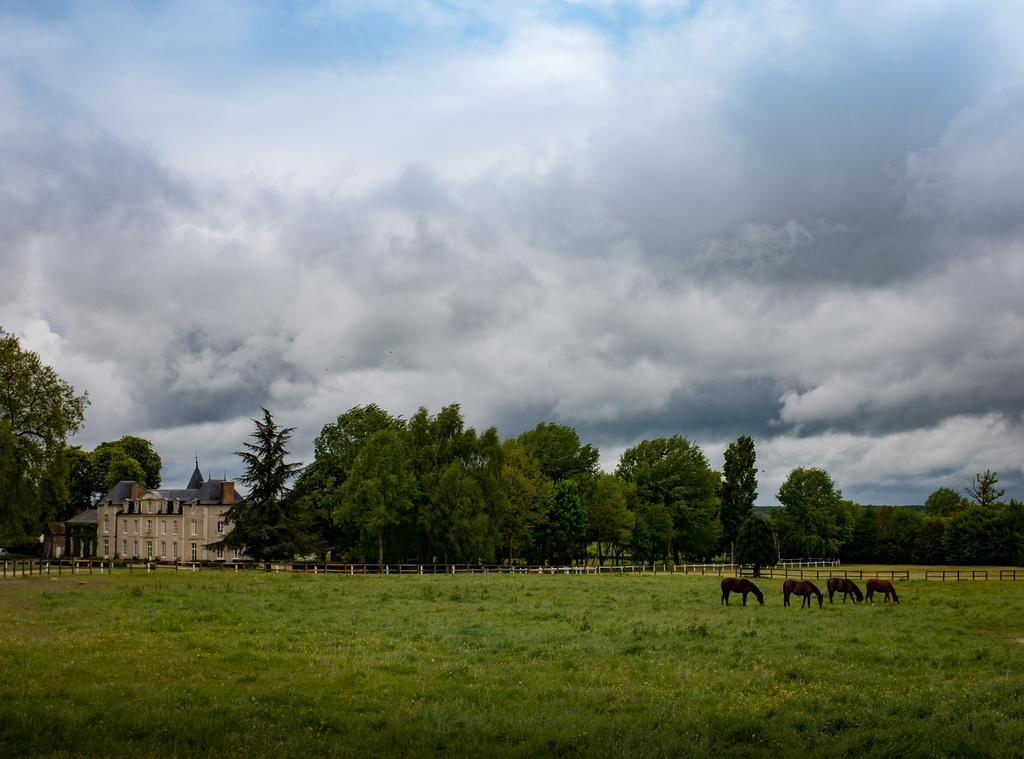 Hotel Haras De La Potardiere Crosmières Eksteriør bilde
