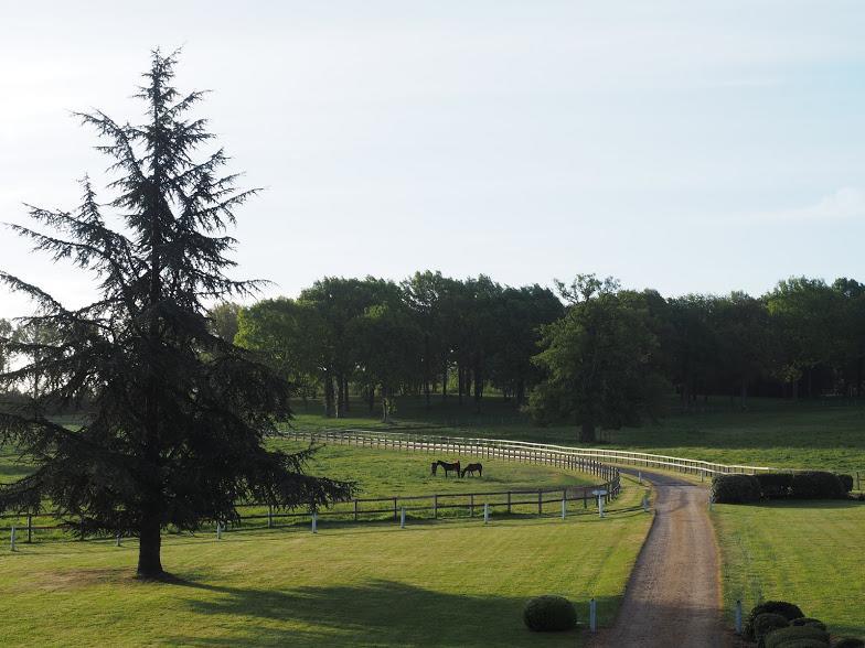 Hotel Haras De La Potardiere Crosmières Eksteriør bilde